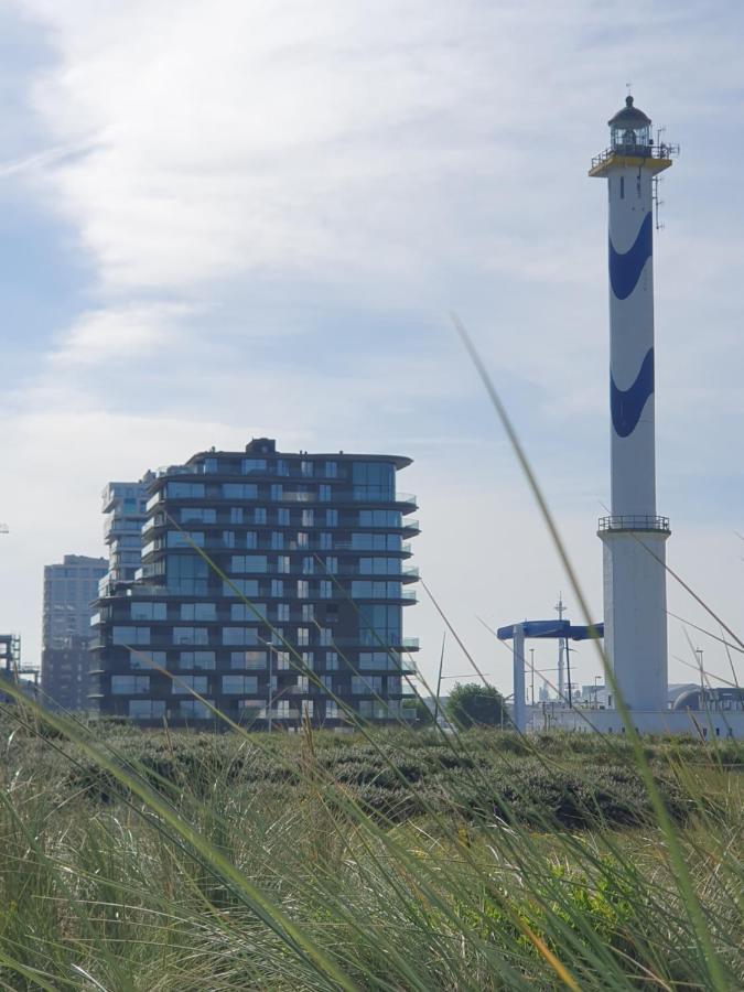 Park Tower Sea View With Pool And Gym Apartment *